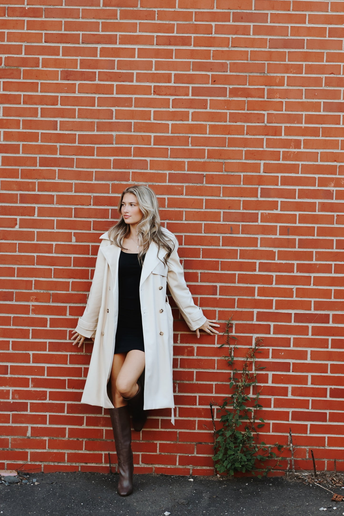 Ilia Trench Coat Bone