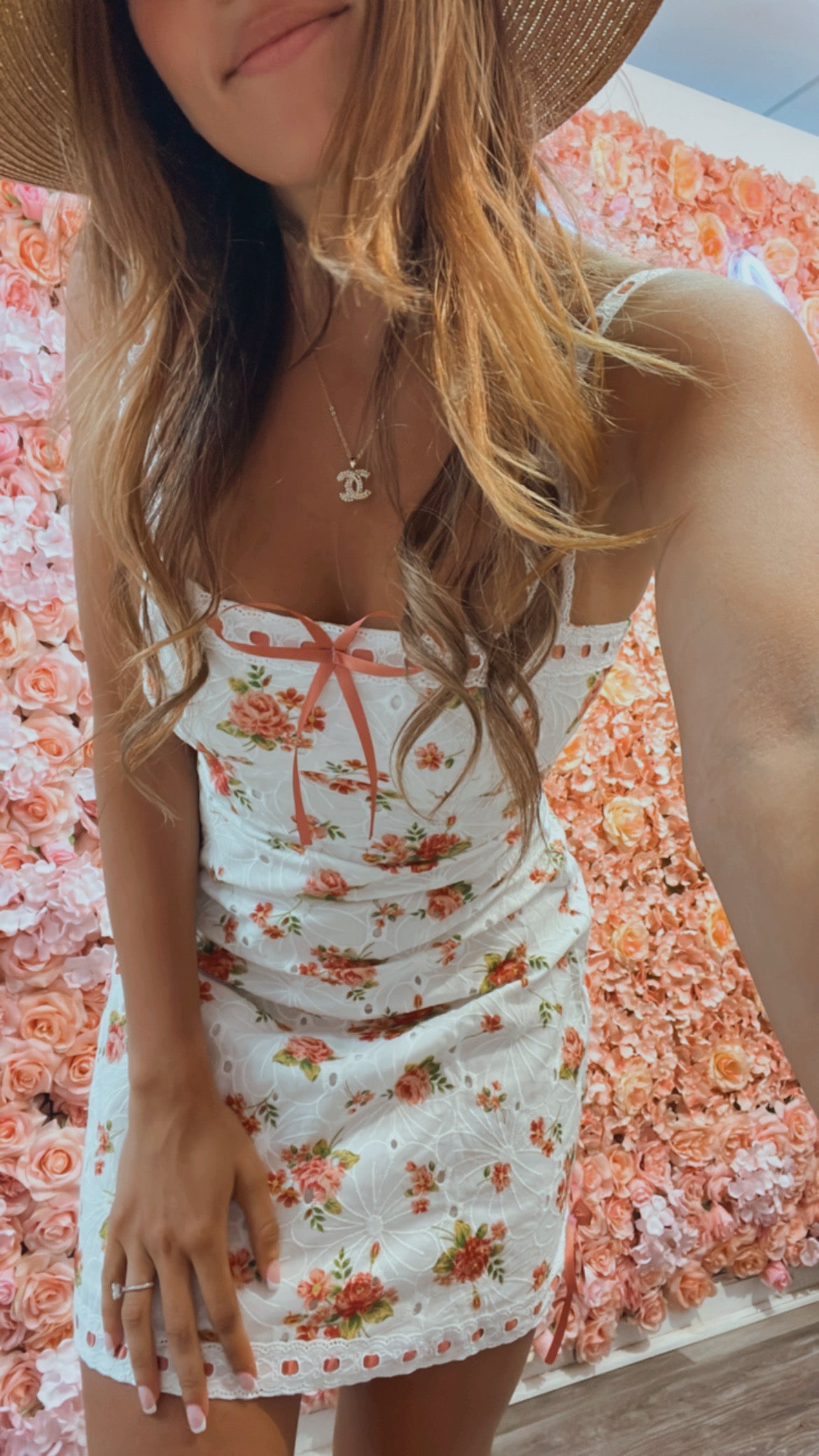 elodie mini dress in brown Elodie Eyelet Mini Dress L