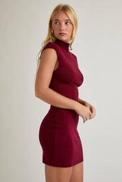 Penelope Mock Neck Dress in Burgundy