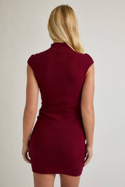 Penelope Mock Neck Dress in Burgundy