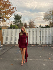 Lottie Long Sleeve Mini Burgundy