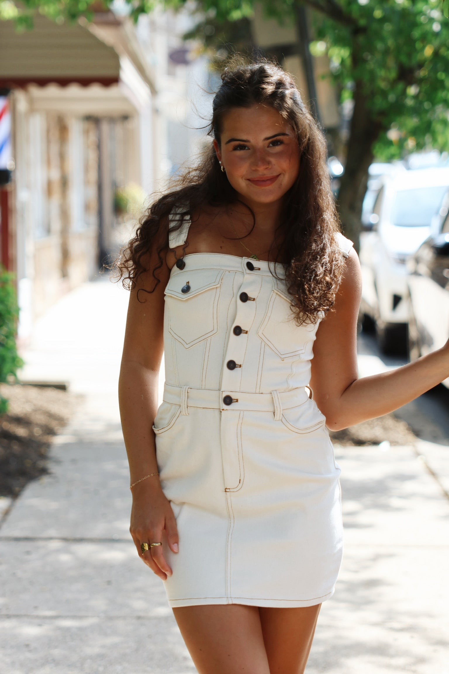 Lake Dress Oatmeal