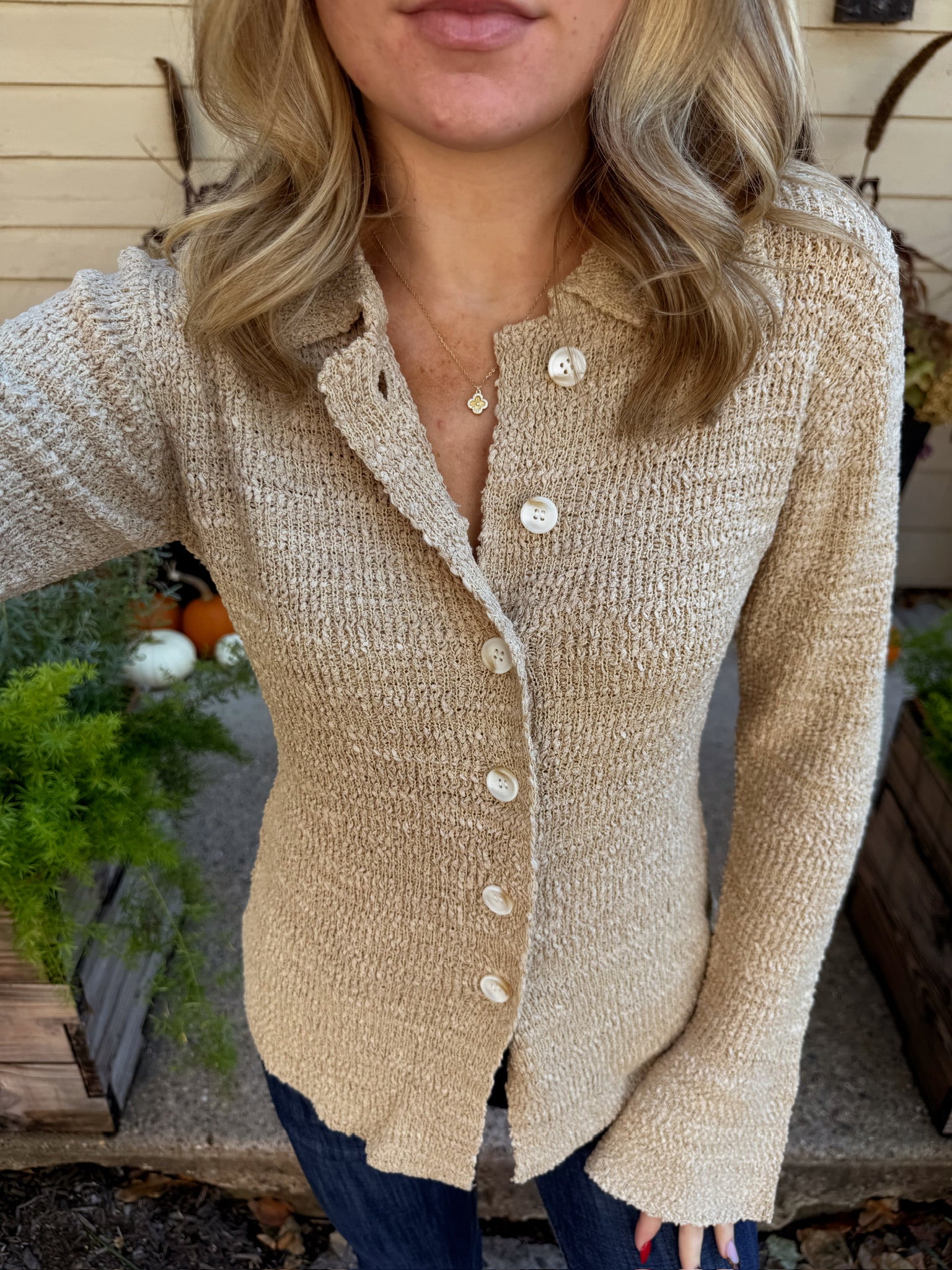 Collared Knit Sweater Cardigan in Sand