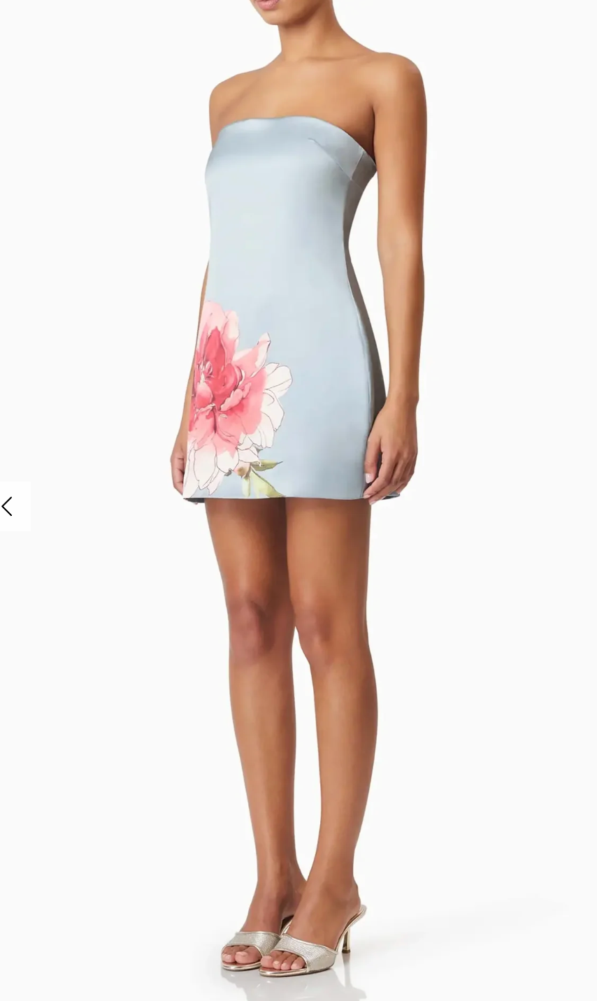 Elliatt Iliad Mini Dress