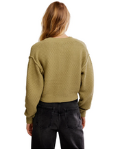 Lila Cardi Whispering Willow