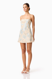 Nia Embroidered Mini Dress in Beige by Elliatt