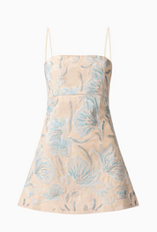 Nia Embroidered Mini Dress in Beige by Elliatt