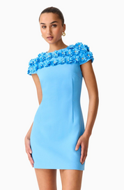 Dali Floral Applique Mini Dress in Blue | Elliatt