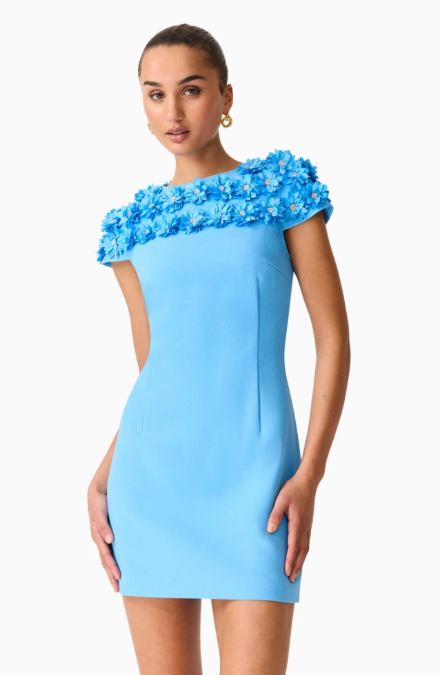 Dali Floral Applique Mini Dress in Blue | Elliatt