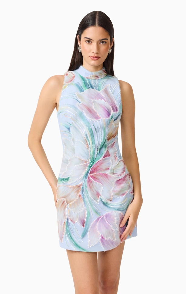 Priselle High Neck Mini Dress in Blue Floral