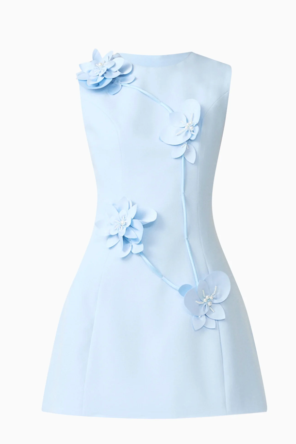 Reina Applique Mini Dress Dress Sky Blue by Elliatt