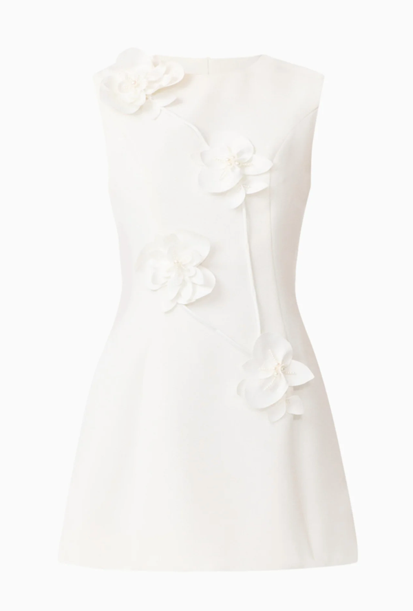 Reina Applique Mini Dress Dress White by Elliatt