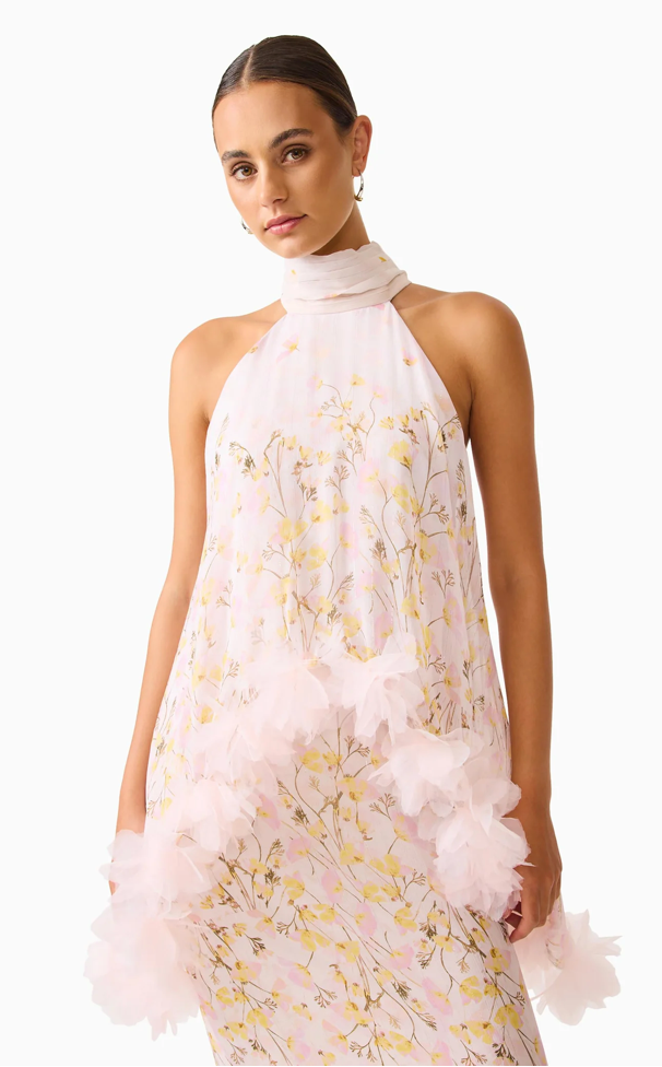 Tulsia Floral Cape Maxi Dress in Pink | Elliatt