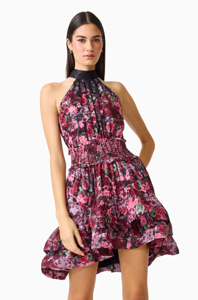 Clementina Halter Neck Fit and Flare Mini Dress in Black Multi by Elliatt