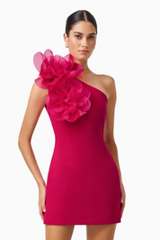 Verdessa One Shoulder Mini Dress | Raspberry | Elliatt
