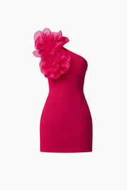 Verdessa One Shoulder Mini Dress | Raspberry | Elliatt