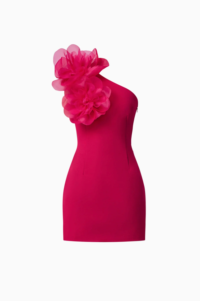 Verdessa One Shoulder Mini Dress | Raspberry | Elliatt