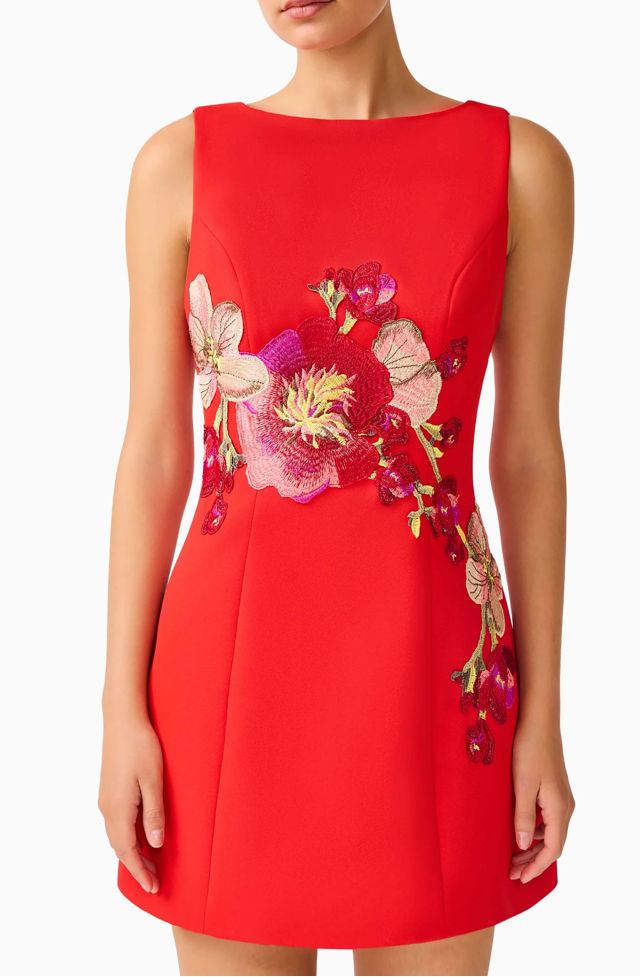 Fleurisca Embroidered A-Line Mini Dress | Scarlet Red | Elliatt