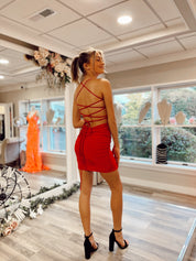 Ava Mini Dress Red