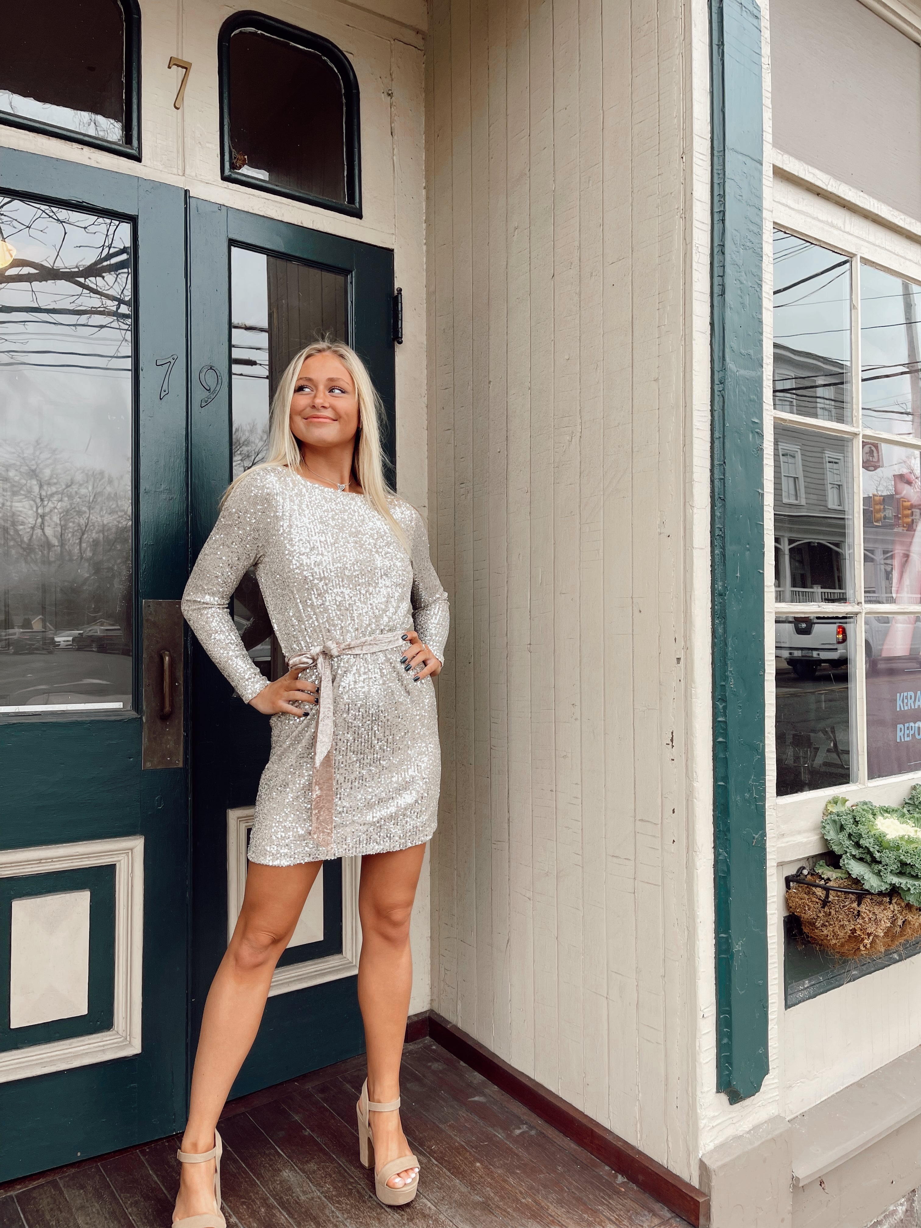 Say So Dress Light Silver